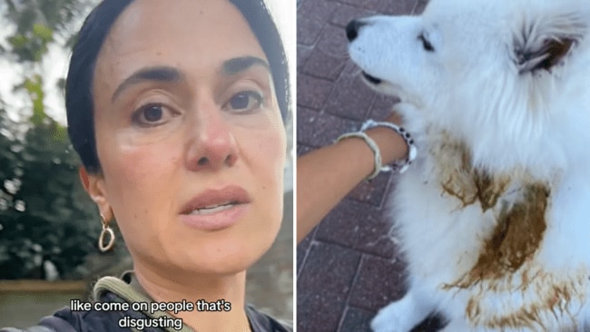 Image: Julia Sakr / TikTok