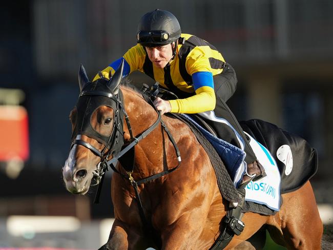 Damian Lane aboard Prognosis during trackwork at Moonee Valley Racecourse on October 17, 2024 in Moonee Ponds, Australia. (Photo by George Salpigtidis/Racing Photos via Getty Images)