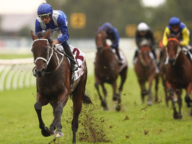 See this before? Winx thumps her rivals in the George Ryder Stakes to the tune of seven lengths, almost eclipsing her record eight-length win in last year’s Cox Plate. Picture: Getty Images