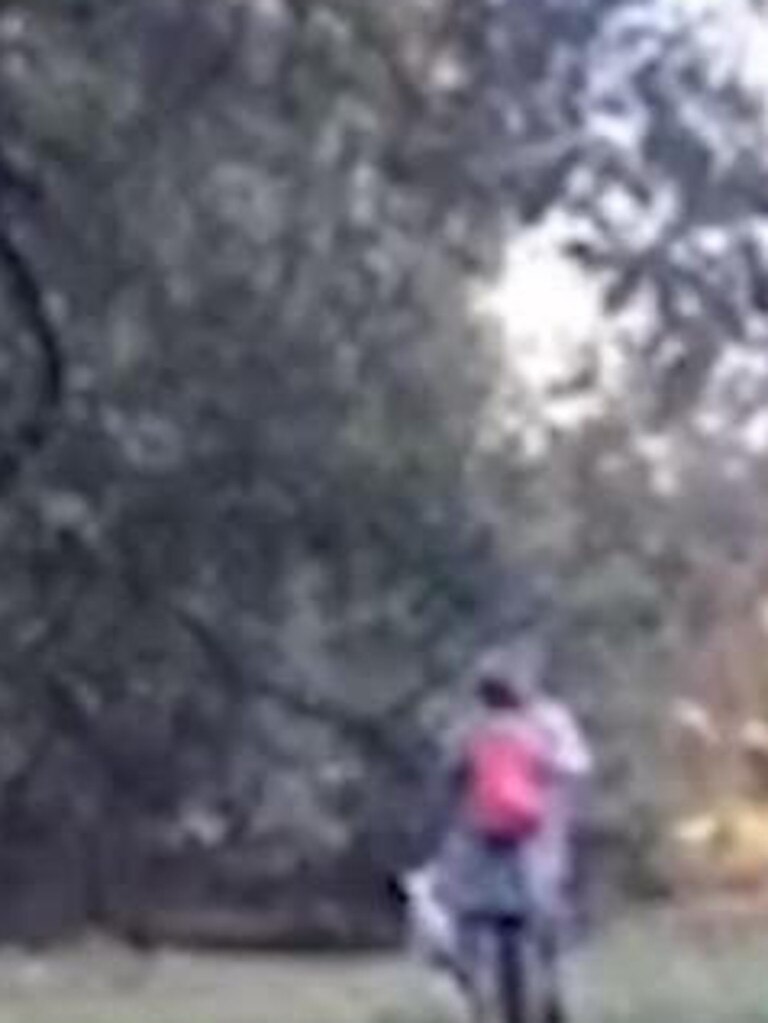 The video shows Christ Laundrie and Roberta Laundrie talking on the trail.