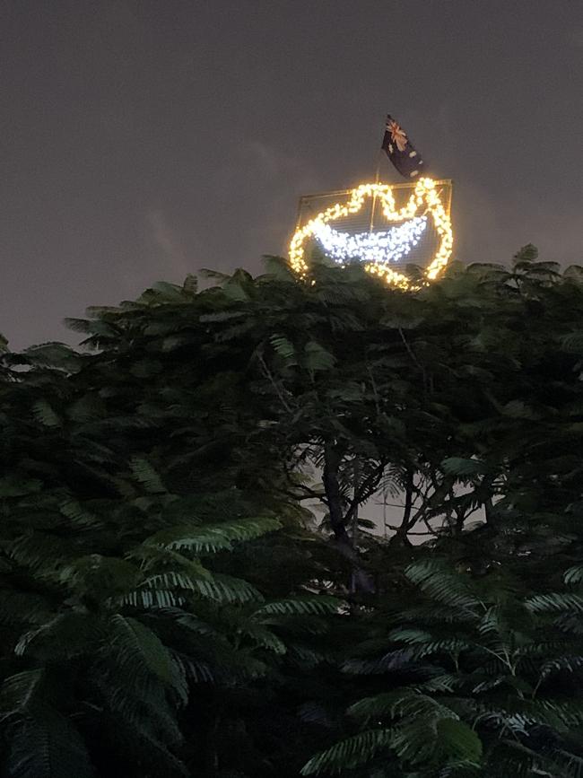 This lights map of Australia, with a smile from Western Australia to Queensland, sits seven metres up in a tree in Carole Woodland's front yard. Picture: Michelle Smith