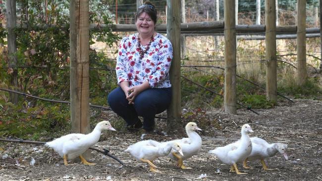 Anita Evans on Five Ducks Farm at Pomonal.