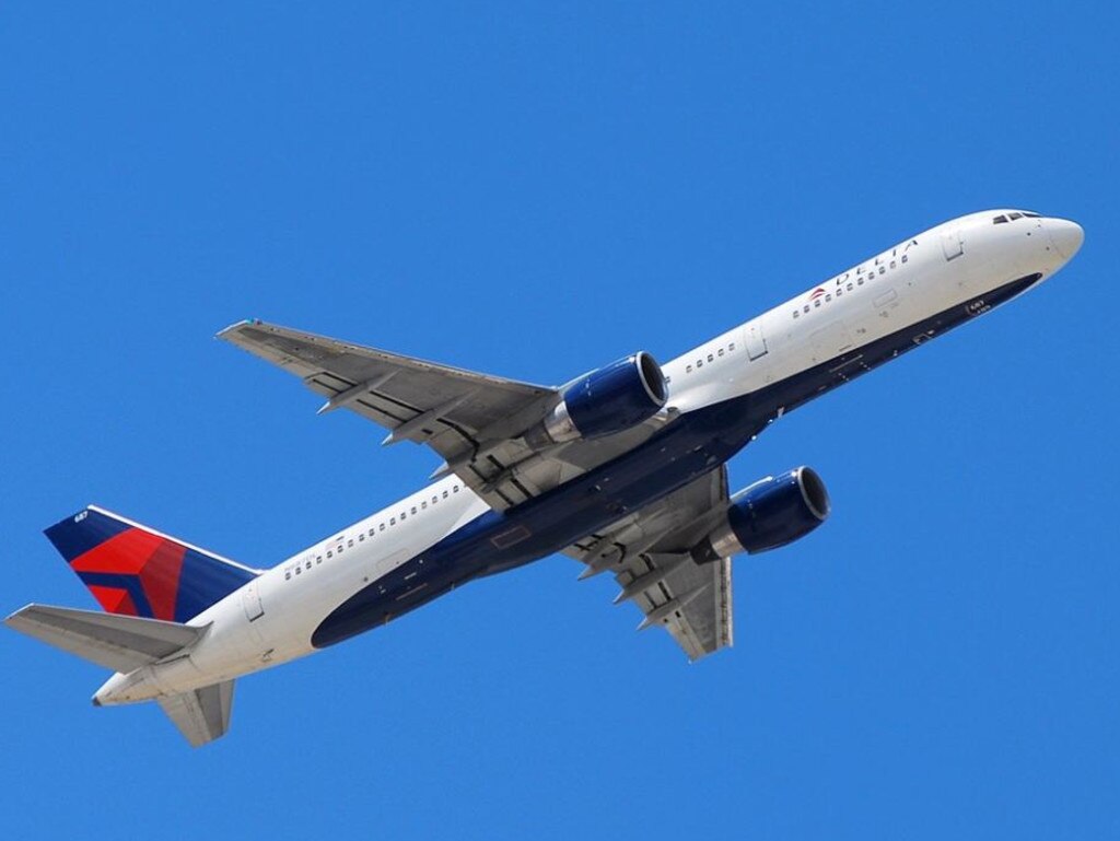 Delta: Dog found dead in bloodstained crate on flight | news.com.au ...