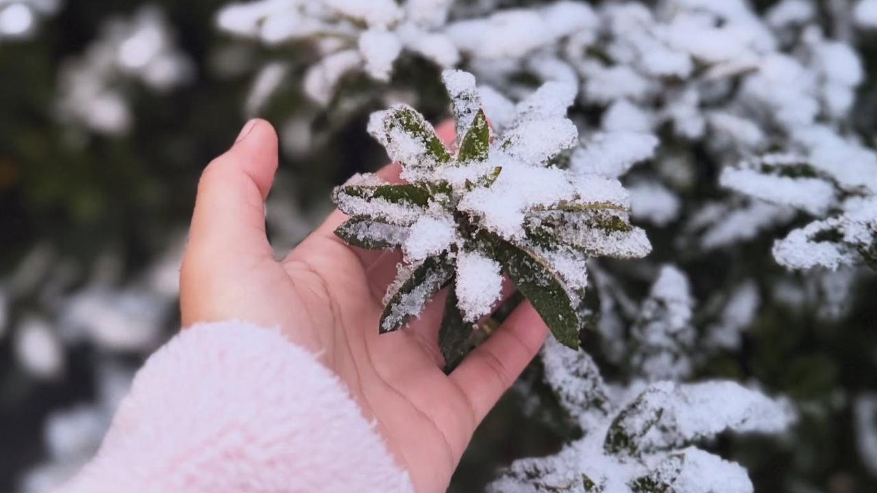 Riana Nilasari captured this fairytale sight in her garden in Orange. Picture: Instagram