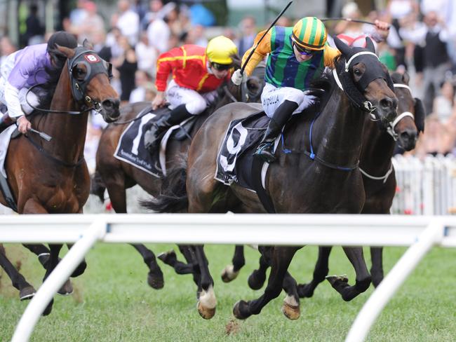 A 2000m trip will suit New Tipperary, especially if the track improves into the soft.