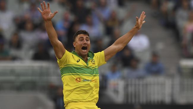 Marcus Stoinis appeals for a wicket against India.