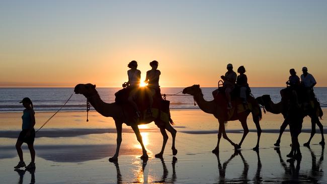 NOVEMBER 16 2014 WA DEALS Rise camels on Cable Beach in Broome, WA