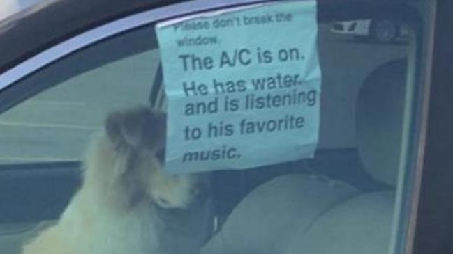 Don T Break The Window The Ac Is On Memes Are Incredible Dog In Car Meme News Com Au Australia S Leading News Site