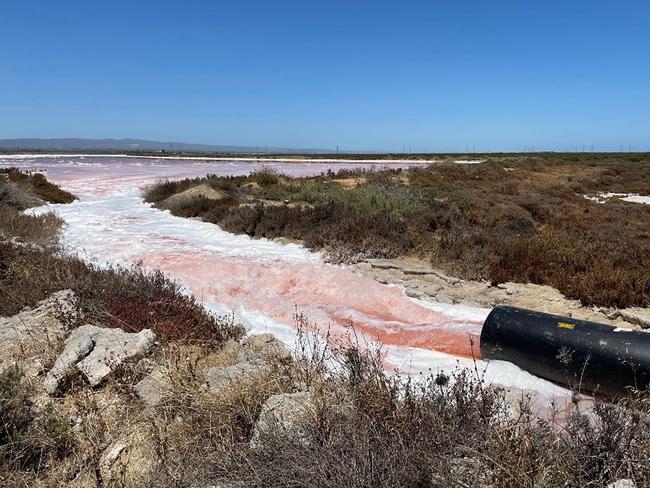 Pumping to remove hypersaline water to reduce the impact to mangroves, January 2021, Supplied. Department for Energy and Mining