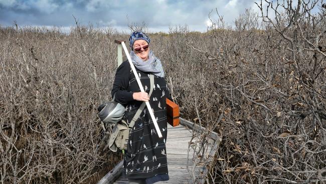 St Kilda resident and independent scientist Peri Coleman of Delta Environmental Consulting testing the water next to the St Kilda Mangroves Boardwalk trail, where the environmental damage to a 7km stretch of mangroves has been caused by salt leeching into the area. Picture Dean Martin