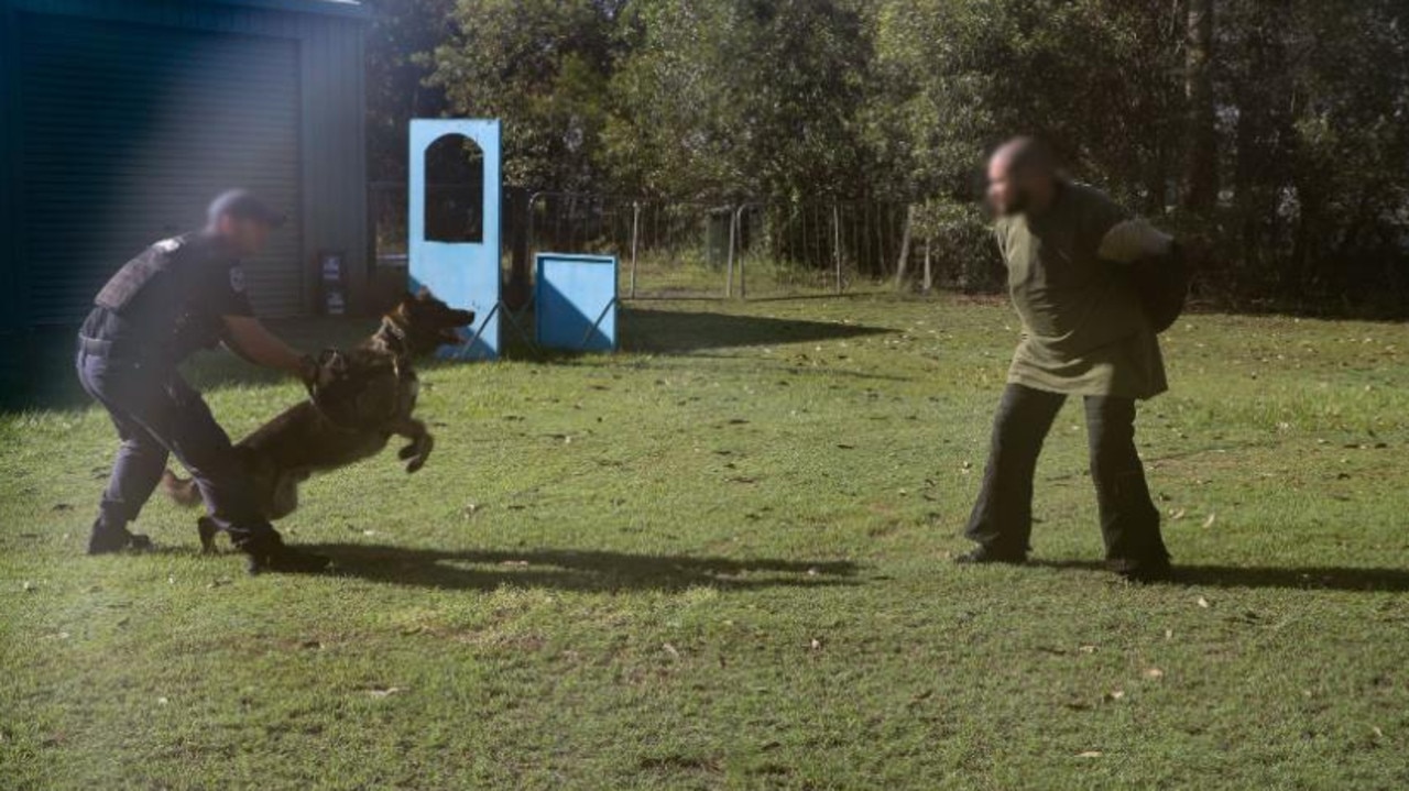 Dog squad training at Maryborough Correctional Centre.