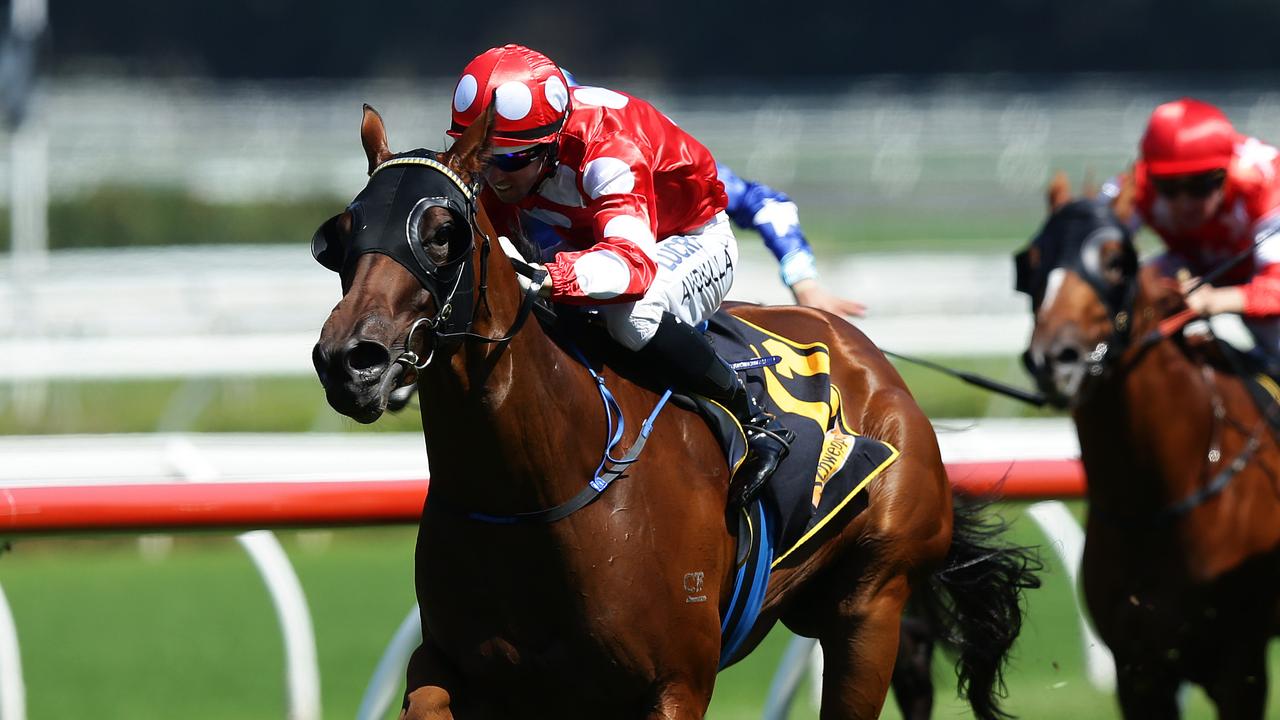 Jockey Brenton Avdulla rides No.11 Cartier Rock to victory during Race 2 at Royal Randwick, Sydney. Pic Brett Costello