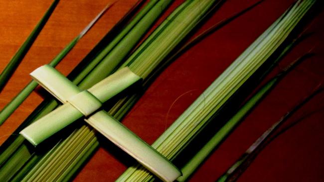 Hobart Churches Experience Shortage Of Palm Branches 