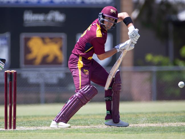 Noah Korkolis hit his maiden First XI half-century against Carlton. Picture: Sarah Matray