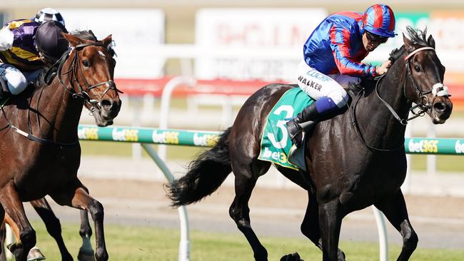 Jockey Michael Walker rides Prince Of Arran to victory in the Geelong Cup. Pic: AAP