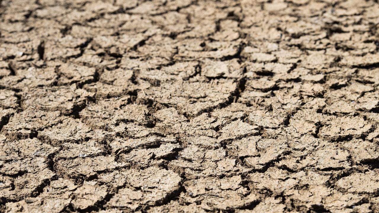 South Australia is in the midst of its driest 12 months on record.