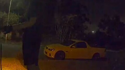 Footage filmed by the security camera on a Tesla showing teens allegedly breaking into cars at a home in Ashmore.