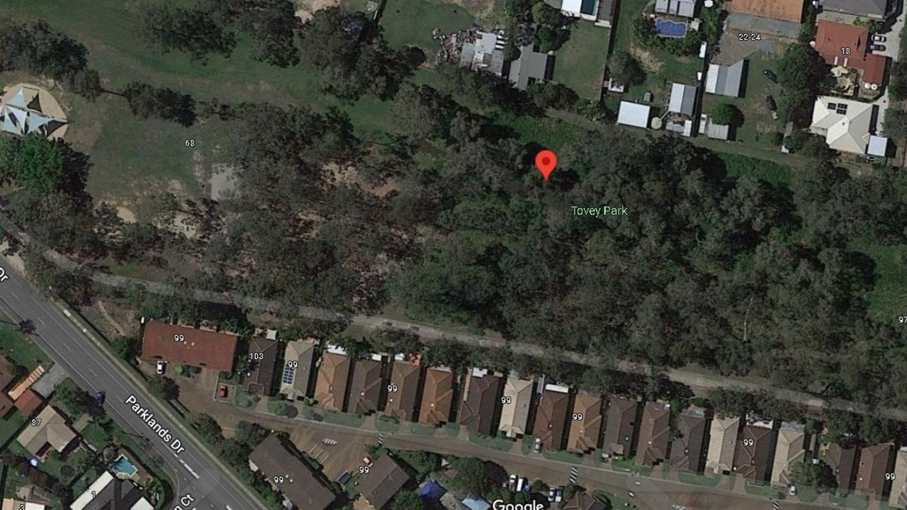 The dog was found at Tovey Park, Parklands Drive, Boronia Heights on September 20.