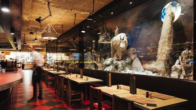 Dine at Natural History Bar &amp; Grill under the watchful gaze of taxidermy animals. Picture: Eugene Hyland