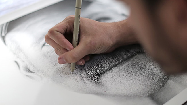 Ballpoint Pen Stipple Drawings Made Of 1000s Dots That Took Me 130 Hours To  Complete