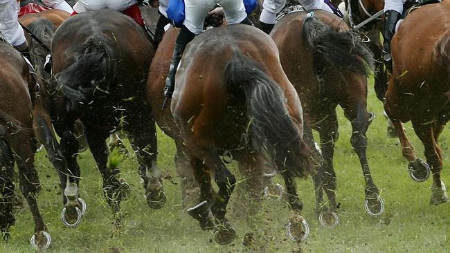 Caulfield Cup Races