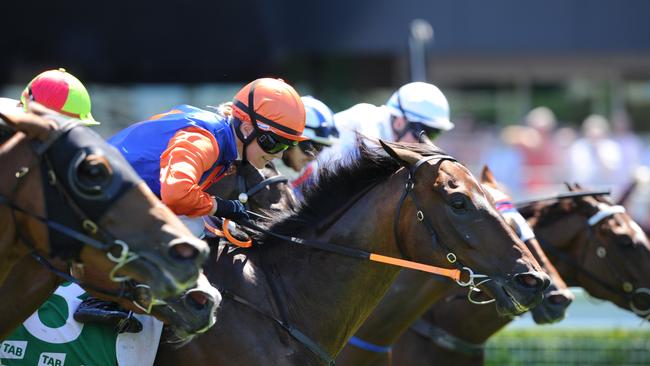Swivet, ridden by Samantha Clenton, won the TAB Highway Handicap