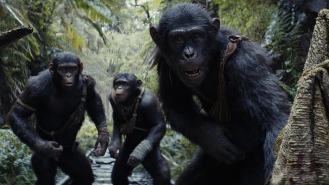 Noa (played by Owen Teague), Soona (Lydia Peckham) and Anaya (Travis Jeffery) in Kingdom of the Planet of the Apes. Picture: 20th Century Studios