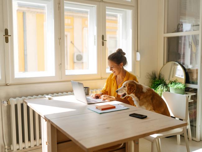 In the past few years, we’ve had to become accustomed to working from home.