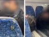 ‘Sucking noises’: Gross act on Sydney train