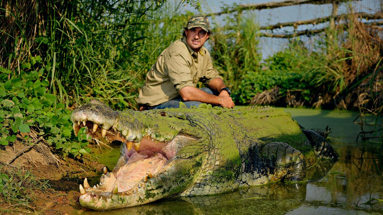 Outback wrangler Matt Wright travels across state lines to bring some crocs  back to the Northern Territory, he writes in new book extract | NT News