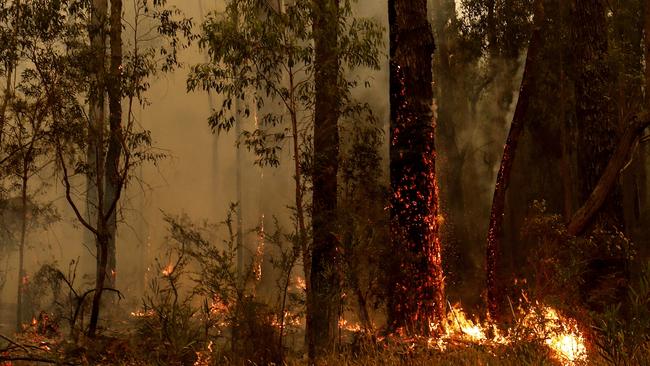 Warnings ignored: The abandonment of fuel reduction burns has dramatically raised the risk of massive bushfires near populated areas.