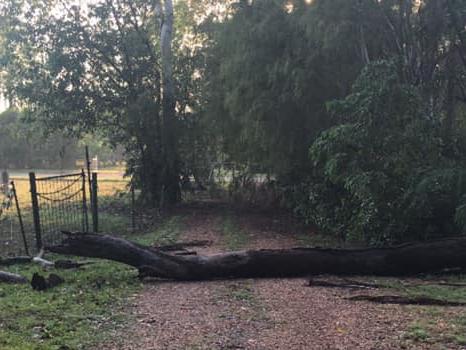 Herbert residents reported damage to their properties following a gusty storm in Darwin's rural areas on Saturday November 5.