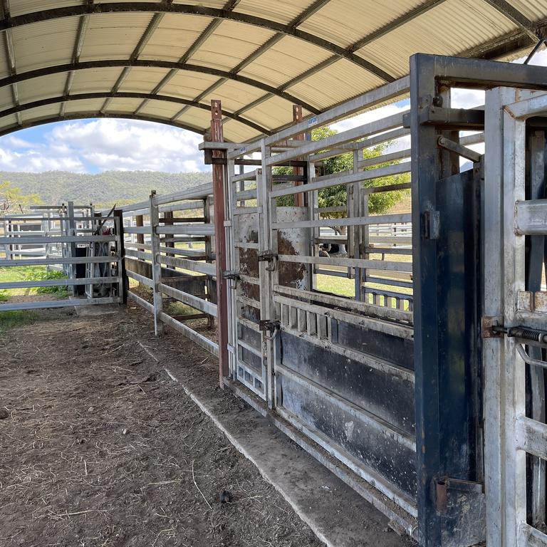 St Lawrence cattle property sells for $5.7m at auction | The Courier Mail