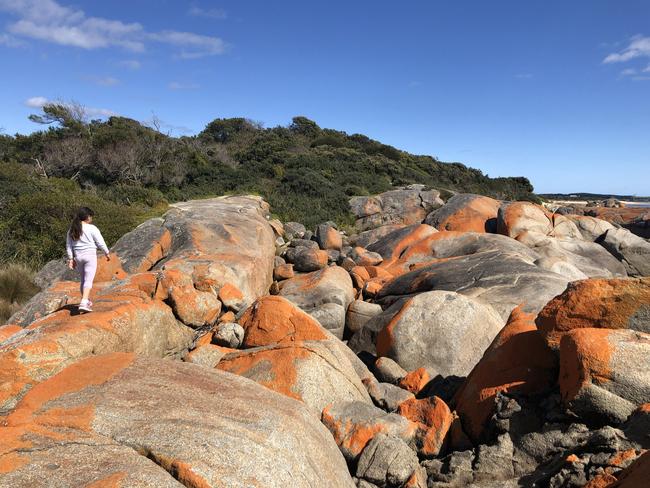 Walking near Granite Point Conservation Area at Bridport.