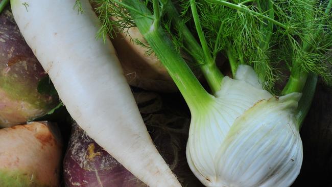 Daikon radish and fennel on swedes.