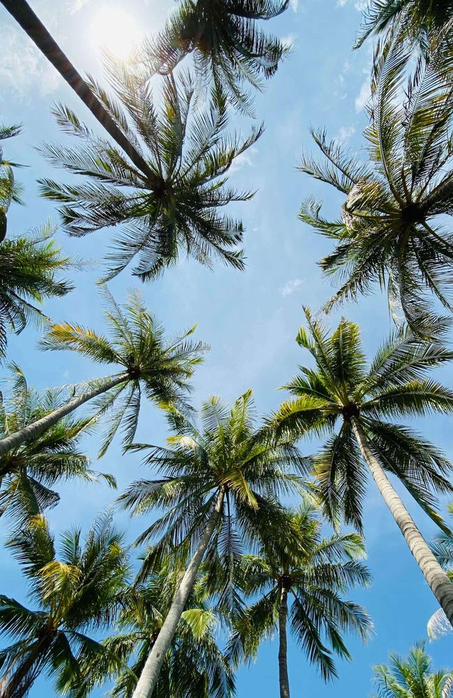 It’s blue skies and clean air in Darwin.