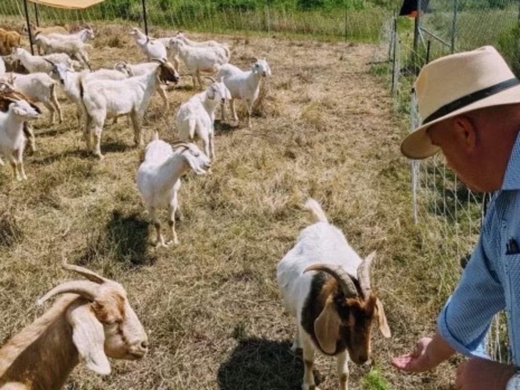 Police and Emergency Services Minister David Elliott meets NSW’s first ‘goat brigade’ on Wednesday. Picture: Supplied