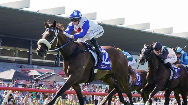 Pounding ridden by Jamie Kah wins the The Big Screen Company T.S. Carlyon Cup at Ladbrokes Park Hillside Racecourse on February 11, 2023 in Springvale, Australia. (Photo by Scott Barbour/Racing Photos via Getty Images)