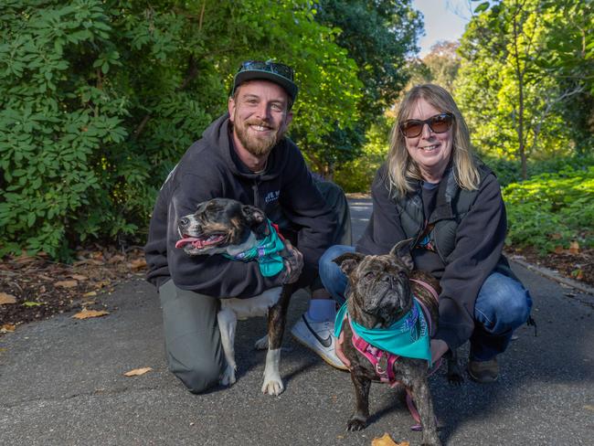 RSPCA SA's Million Paws Walk in Adelaide on May 25, 2025. Picture: Ben Clark