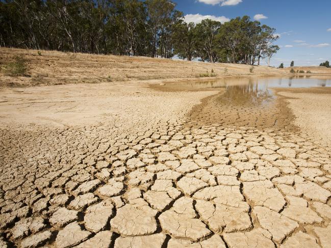 A farmers watering hole on a farm near Shepperton almost dried up. Picture: Supplied