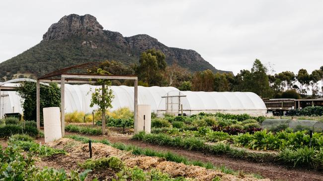 Chef Robin Wickens sources many ingredients from the organic kitchen garden.