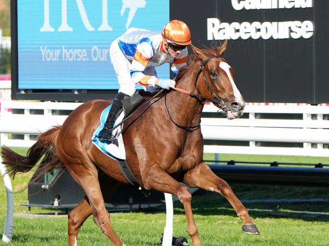 Elphinstone ridden by Luke Currie wins the The IRT VOBIS Platinum Guineas at Caulfield Racecourse on April 27, 2024 in Caulfield, Australia. (Photo by George Sal/Racing Photos via Getty Images)