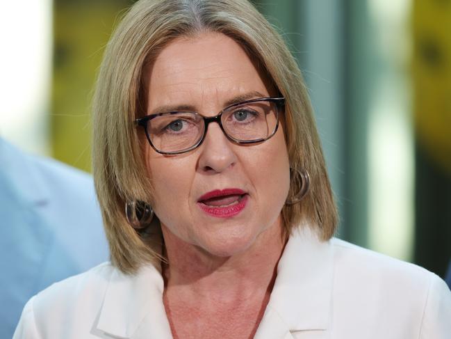 MELBOURNE, AUSTRALIA- NewsWire Photos APRIL 13, 2025: Victorian Premier Jacinta Allan makes an announcement at the National Gallery of Victoria. Picture:  NewsWire/ David Crosling