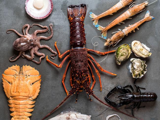 Selection of fresh seafood. Picture Meaghan Coles.