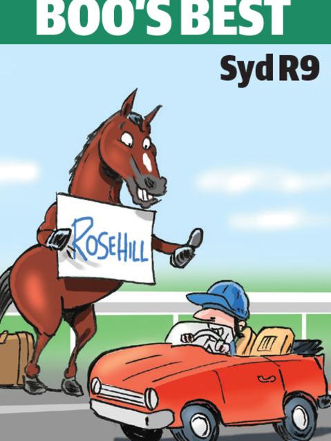 Boo Bailey's cartoon tip for Rosehill