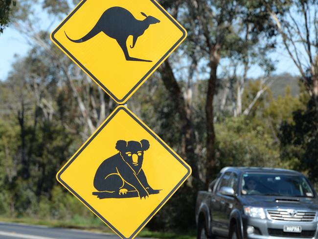 Wildlife awareness month. Carers in the Trentham area. Wildlifw sign Gisborne Melton Road