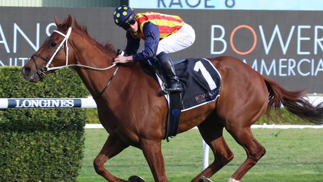 Nature Strip will contest The Everest for a fourth successive time on Saturday. Picture: Grant Guy