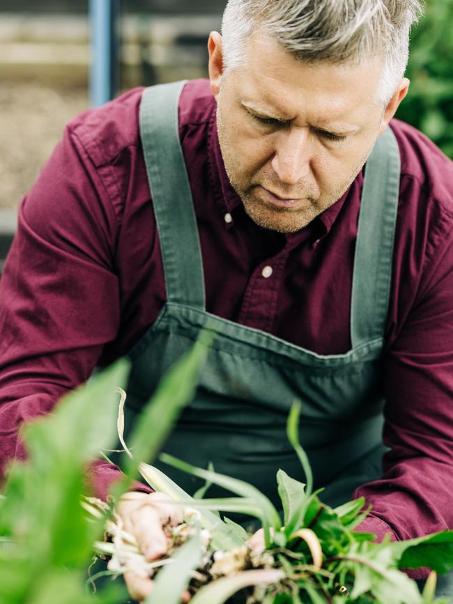 Culinary director Massimo Mele sources fresh ingredients from his Taroona garden for his menu at Peppina. Picture: Adam Gibson