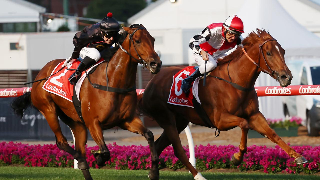 Frilled will also run in The Warra for Matt Smith Picture: Michael Klein