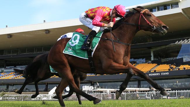 Steel Diamond is better than her latest run and is can bounce back at Rosehill. Picture: AAP Image
